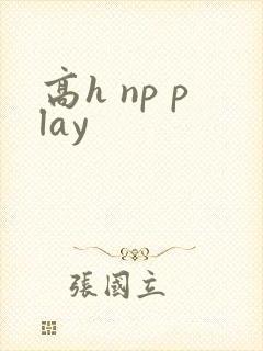 高h np play封面