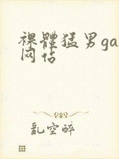 裸体猛男gay网站