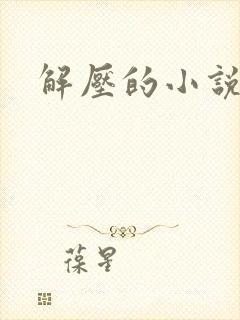 解压的小说