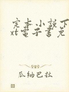 完本小说下载txt电子书免费下载