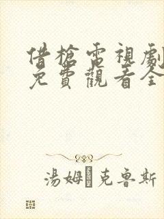 借枪电视剧高清免费观看全集封面