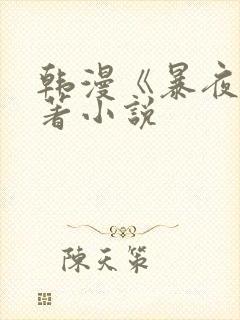 韩漫《暴夜》原著小说