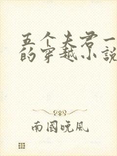 五个夫君一个妻的穿越小说