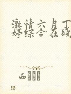 激情六月丁香婷婷综合在线