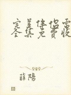 完美伴侣电视剧全集免费收看封面