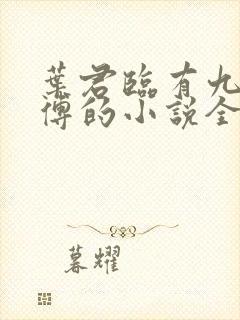 叶君临有九个师傅的小说全集