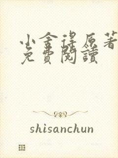 小舍得原著小说免费阅读
