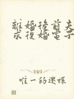 离婚后前夫哭着求复婚电子书阅读