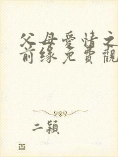 父母爱情之再续前缘免费观看全集