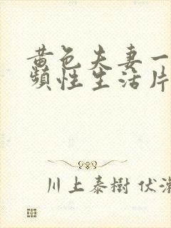 黄色夫妻一级视频性生活片封面