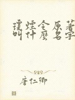 琼烟令原著小说叫什么名字