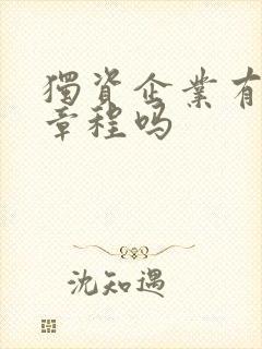 独资企业有公司章程吗