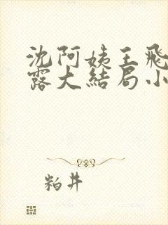 沈阿姨王飞李露露大结局小说