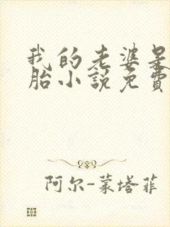 我的老婆是双胞胎小说免费阅读封面