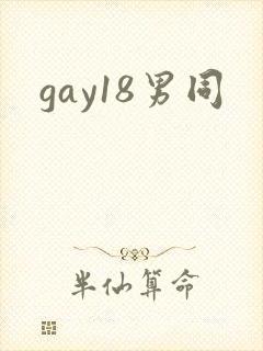 gay18男同