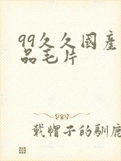99久久国产精品毛片