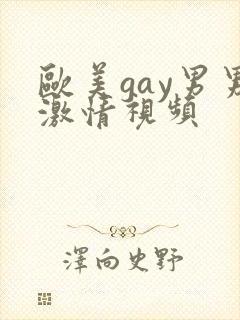 欧美gay男男激情视频