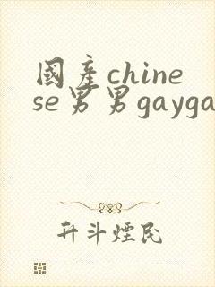 国产chinese男男gaygay网站, chinese封面