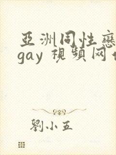 亚洲同性恋男 gay 视频网站