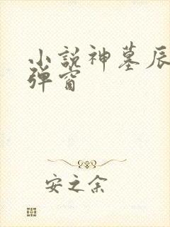 小说神墓辰东无弹窗