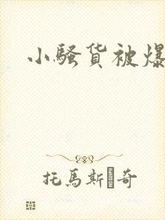 小骚货被爆操