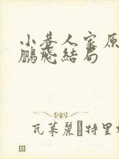 小巷人家原著向鹏飞结局