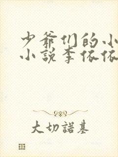 少爷们的小女仆小说李依依