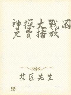 神探大战国语版免费播放
