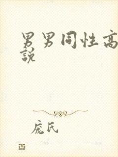 男男同性高h小说