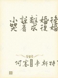 小说离婚后前夫哭着求复婚