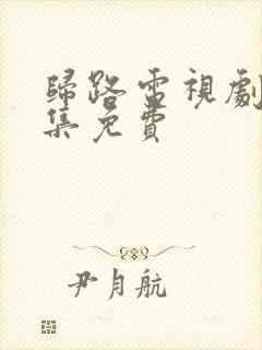 归路电视剧40集免费