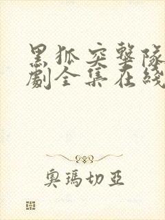 黑狐突击队电视剧全集在线云播放