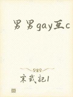 男男gay互c