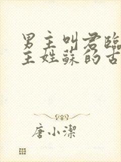 男主叫君临渊女主姓苏的古言小说封面