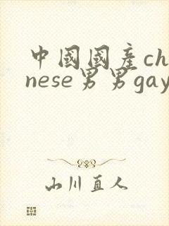 中国国产chinese男男gay gay网站