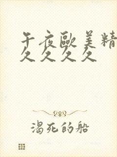 午夜欧美精品久久久久久封面