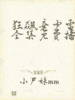 狂飙弃少电视剧全集免费播放封面