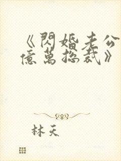 《闪婚老公竟是亿万总裁》小说
