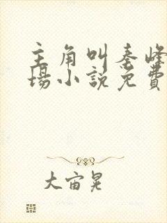 主角叫秦峰的官场小说免费阅读