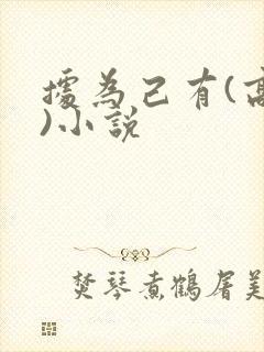 据为己有(高干)小说