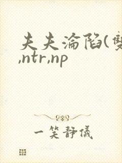 夫夫沦陷(双性,ntr,np