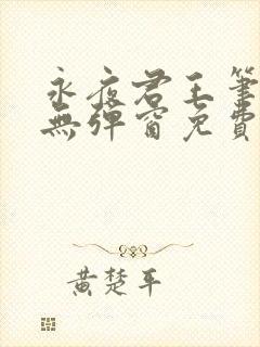 永夜君王笔趣阁无弹窗免费封面