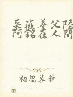 采薇养父陆三平阿铭在人间小说