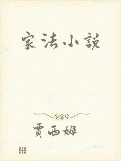 家法小说