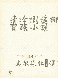 清冷倒追柳如烟贺强小说