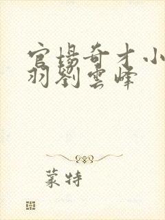 官场奇才小说陆羽刘云峰
