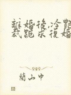 离婚后,冷艳总裁跪求复婚,
