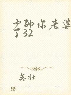 少帅你老婆又跑了32封面