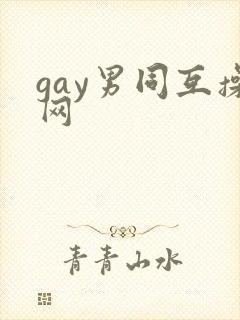 gay男同互操网