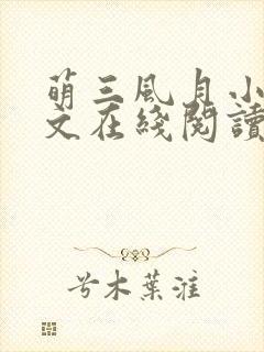 萌三风月小说全文在线阅读封面